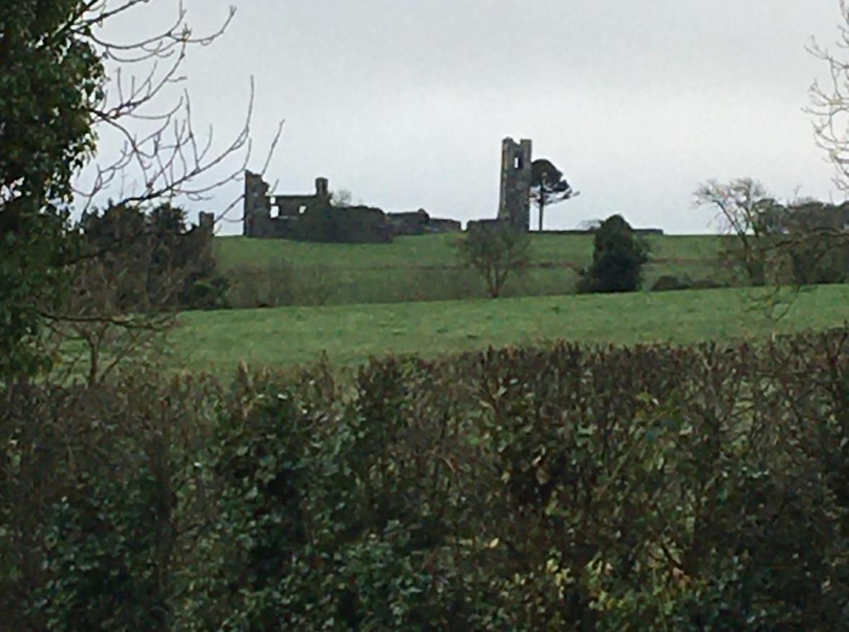 Grangegeeth Inn Slane Exteriér fotografie